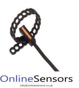 Thermistor pipe sensor