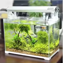 Aquarium and Terrarium Sensors